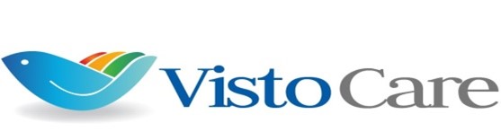 visto help hands care  Logo